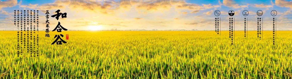 和合谷品牌战略升级：枝头吐新芽叶茂见根深