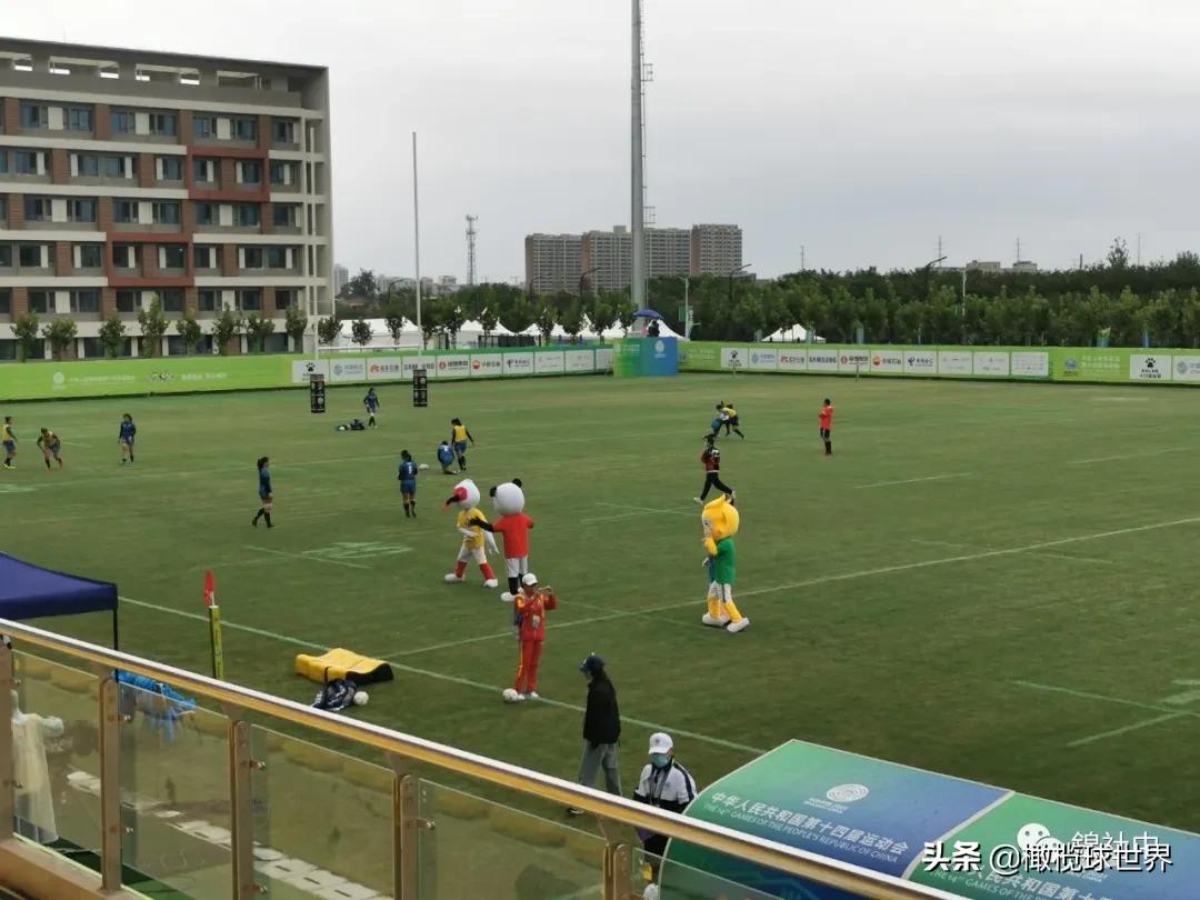 我与全运会的故事,我和校运会的故事作文