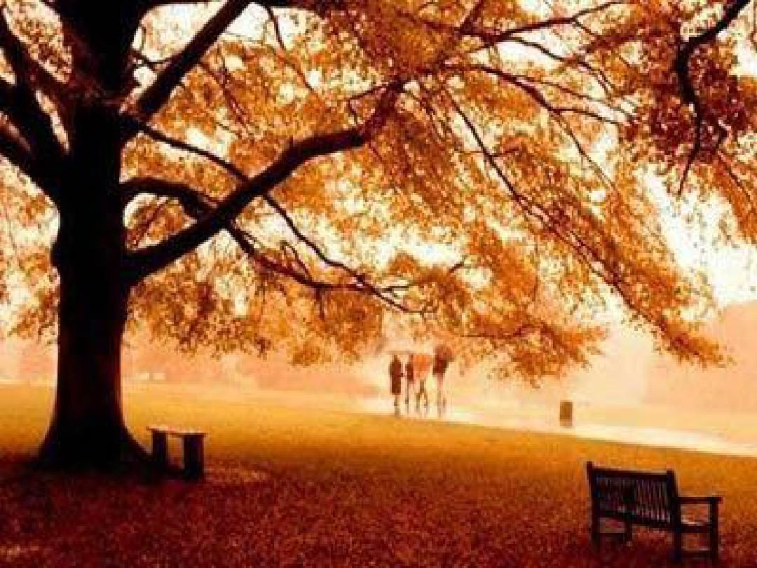 想当作家怎么练习写作,想当作家所具备的条件