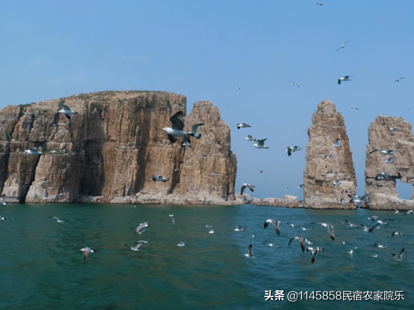 长岛大黑山岛民宿攻略,长岛沙滩民宿推荐