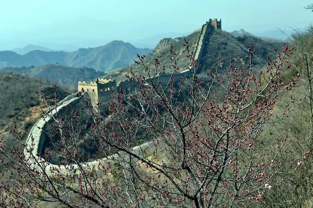 云游江山赏美景,云游花花世界欣赏杜鹃花