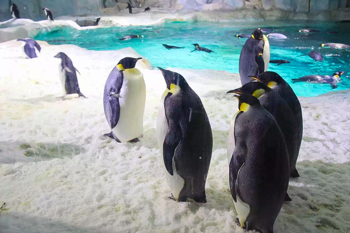 玩转珠海酒店,玩转珠海长隆全攻略