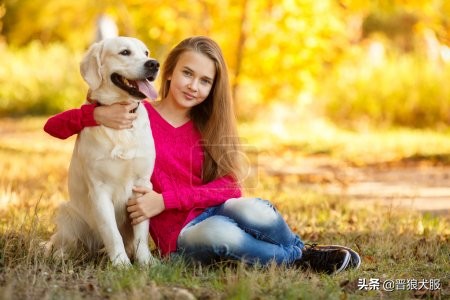 拉布拉多出门太兴奋,拉布拉多出门总是兴奋乱跑