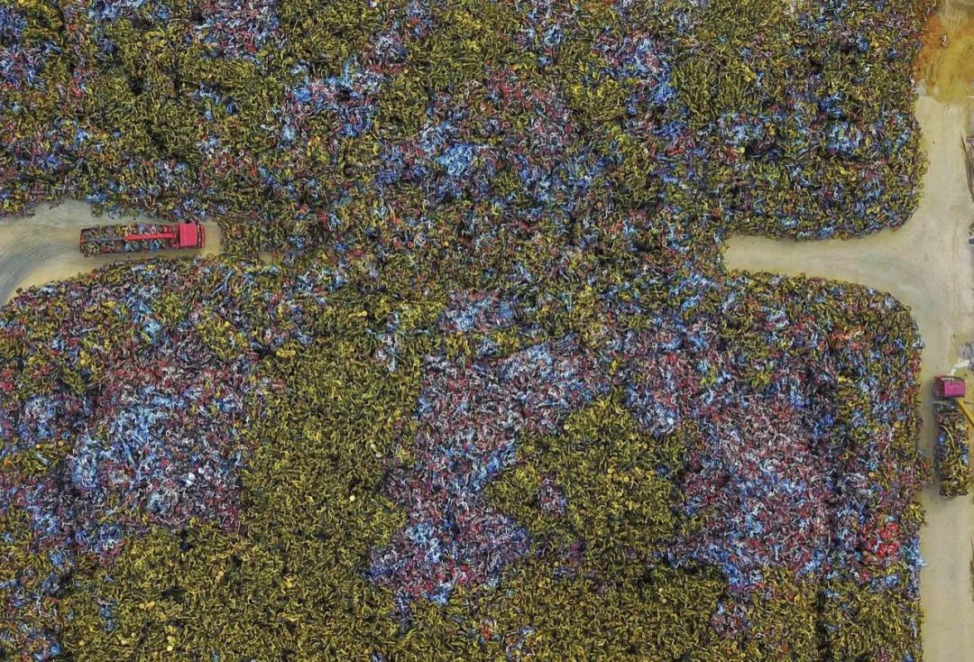 消失的单车,消失的共享单车去哪了