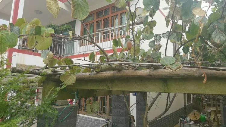 贵州蓬莱仙界旅游攻略,白云区蓬莱仙界景点介绍