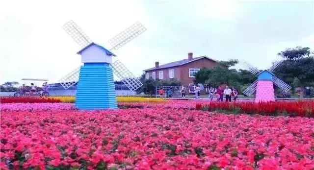 广州从化赛马会,广州从化站赛马会