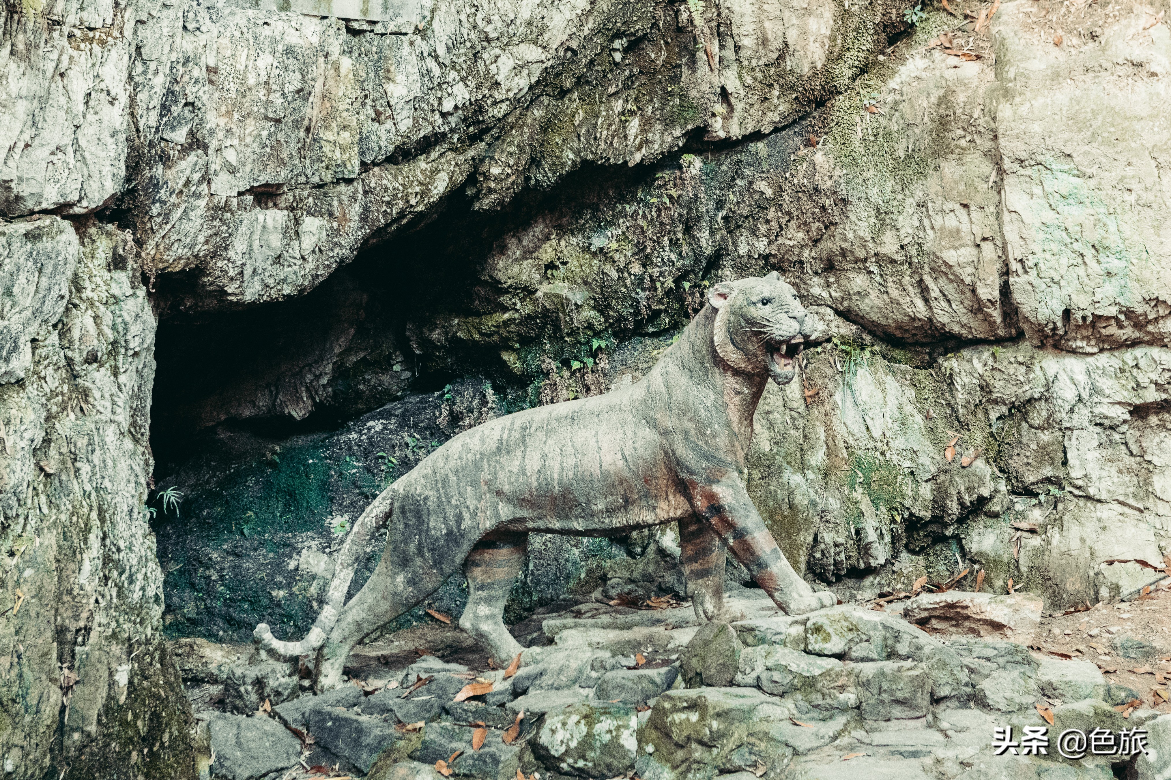 逆水寒游历虎跑梦泉怎么出葫芦,杭州游玩虎跑泉