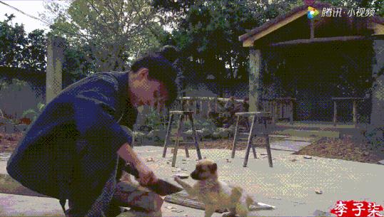 抖音全网第一名李子柒,李子柒抖音最火的女人