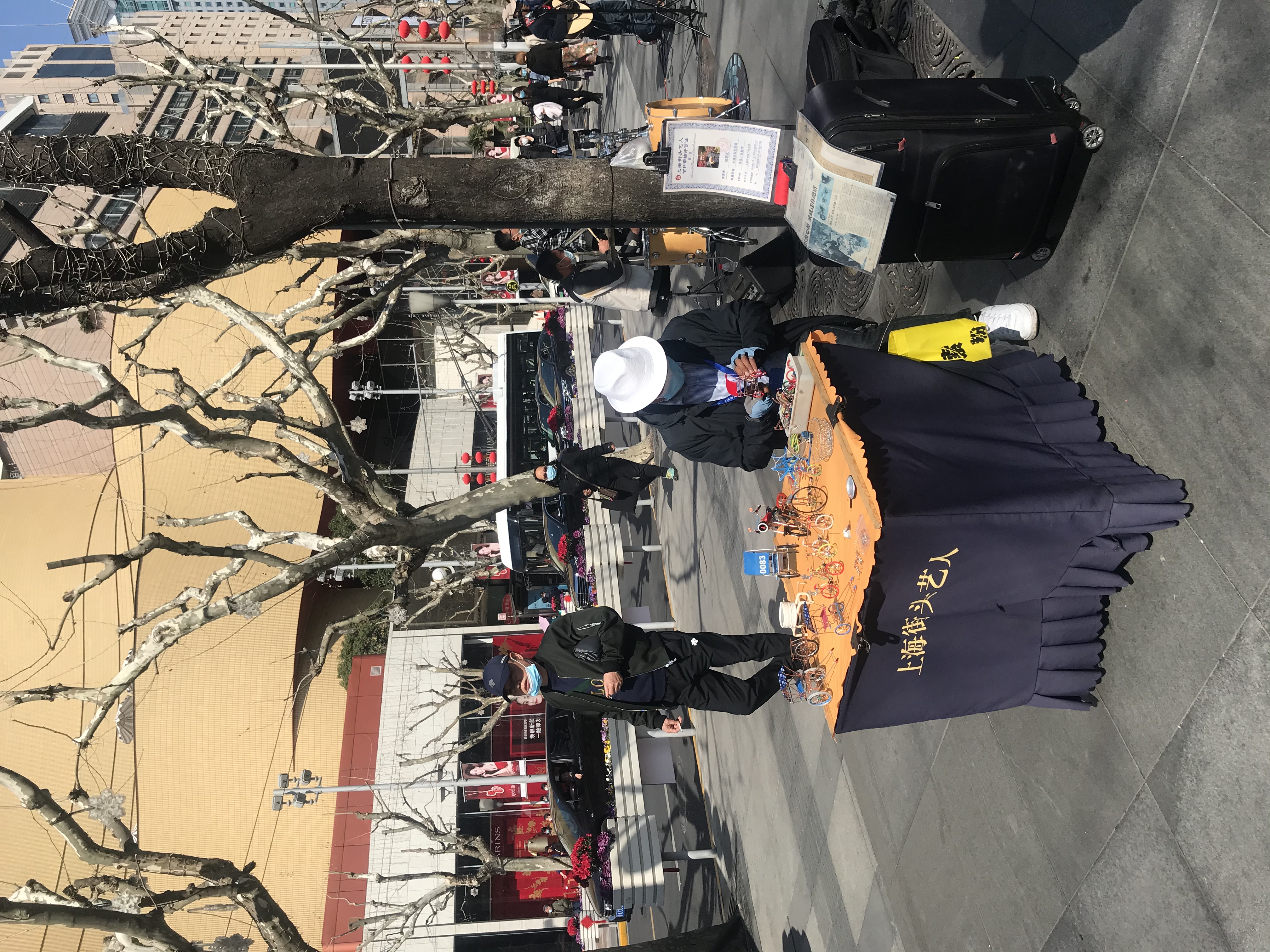 上海的春天视频,上海的春天美景