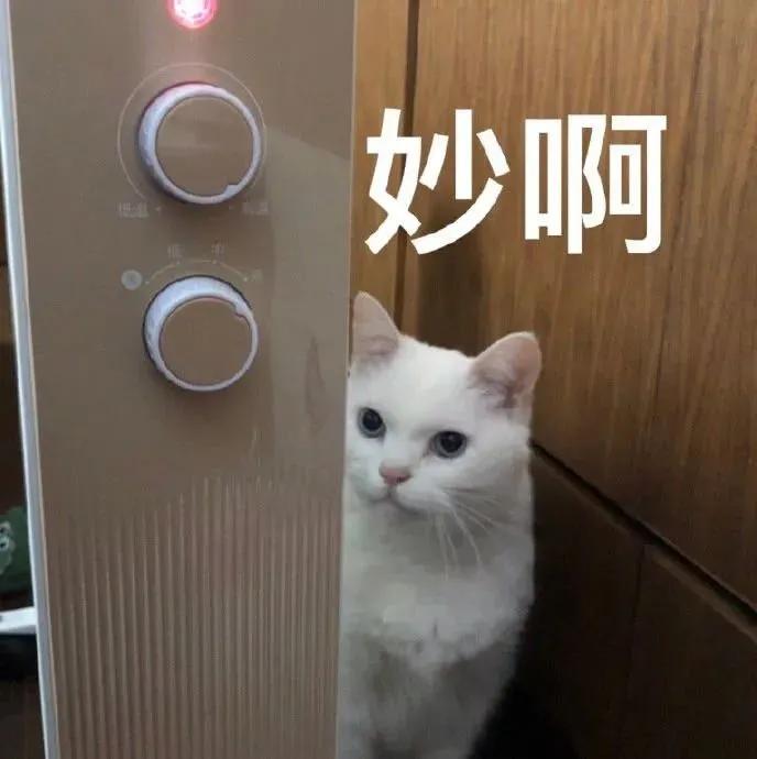 没想到Angelababy也吹演技了？