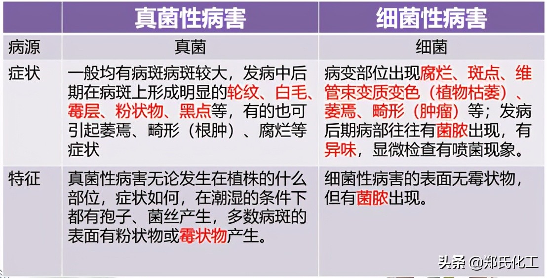 农作物细菌病怎么辨别,如何区分病毒细菌真菌病害
