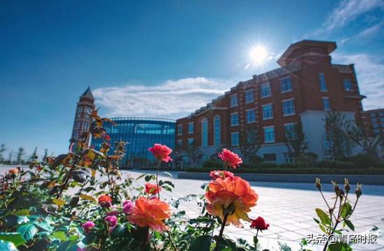 即墨电商小镇开镇！青岛还有这些特色小镇未来可期