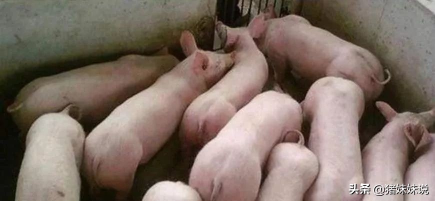 水肿病的诊治,水肿病的症状和治疗方法