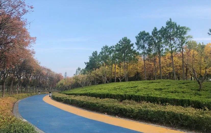 独一无二的足球主题公园,足球主题公园