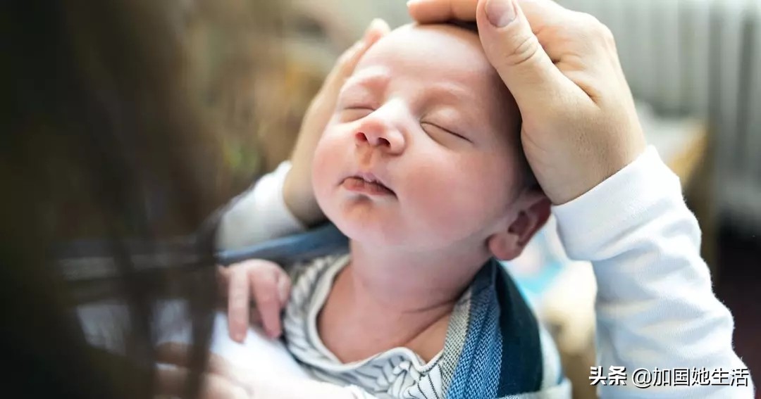 加拿大养小孩福利,加拿大养宠物必备什么