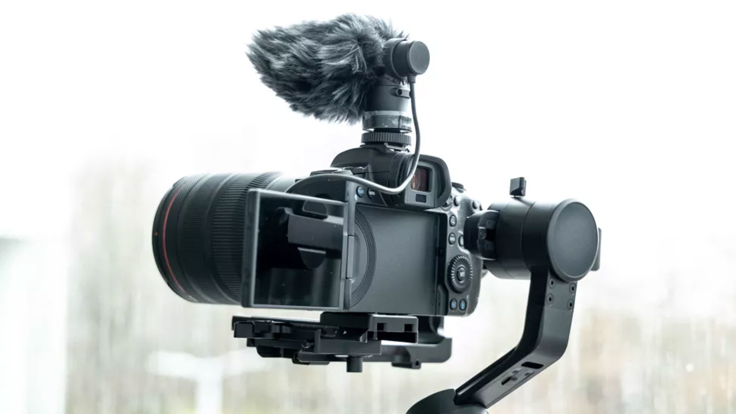 佳能十佳,4500万佳能r5细节表现