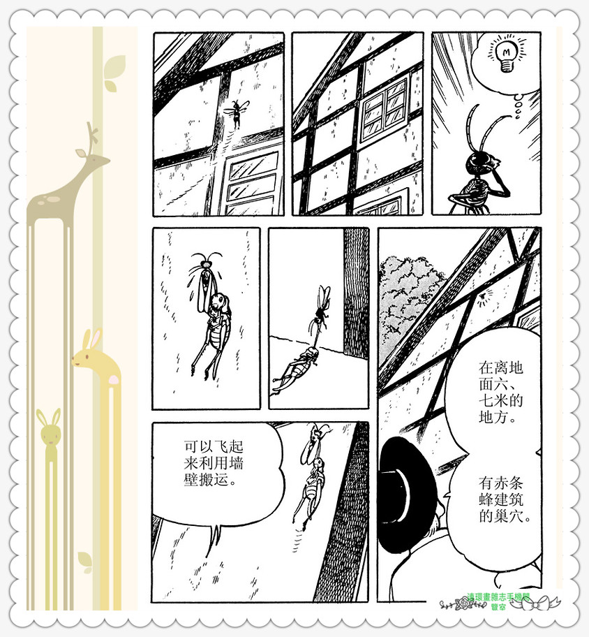 昆虫记法布尔动画片,昆虫记法布尔全套