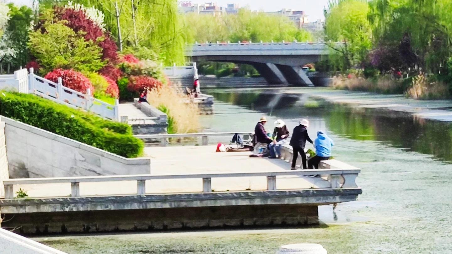 夏天鲫鱼钓着钓着停口怎么回事,黑坑鲫鱼突然停口怎么办