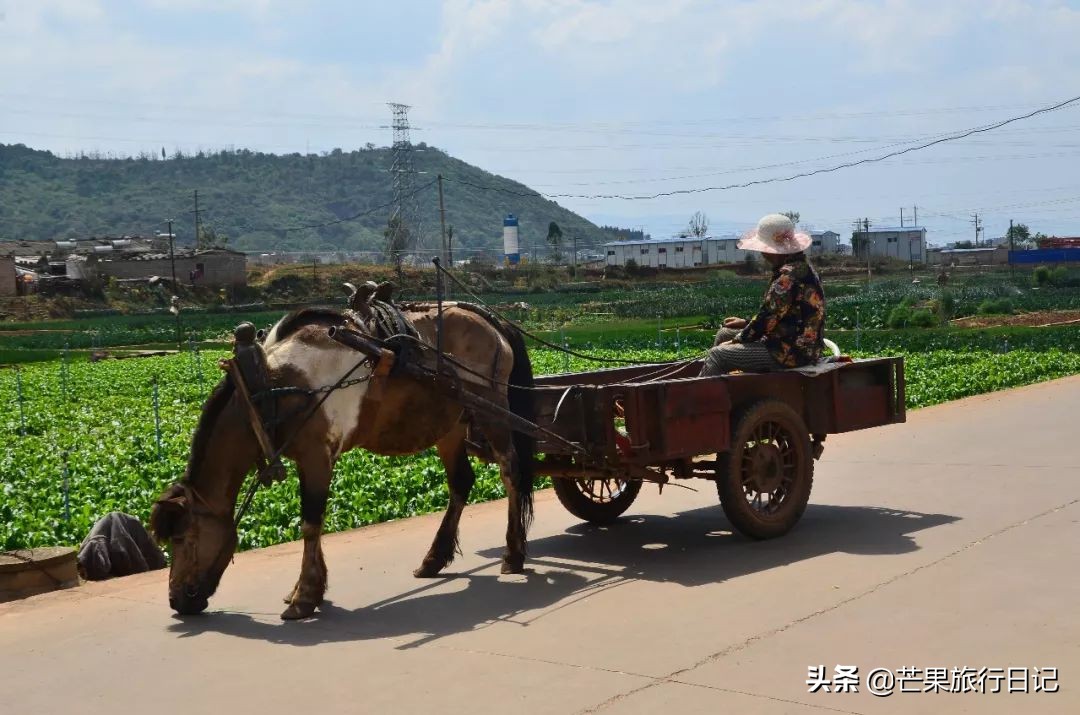 云南有块“天下第一雕”，手机拍照10元相机拍照50元，贵不贵？