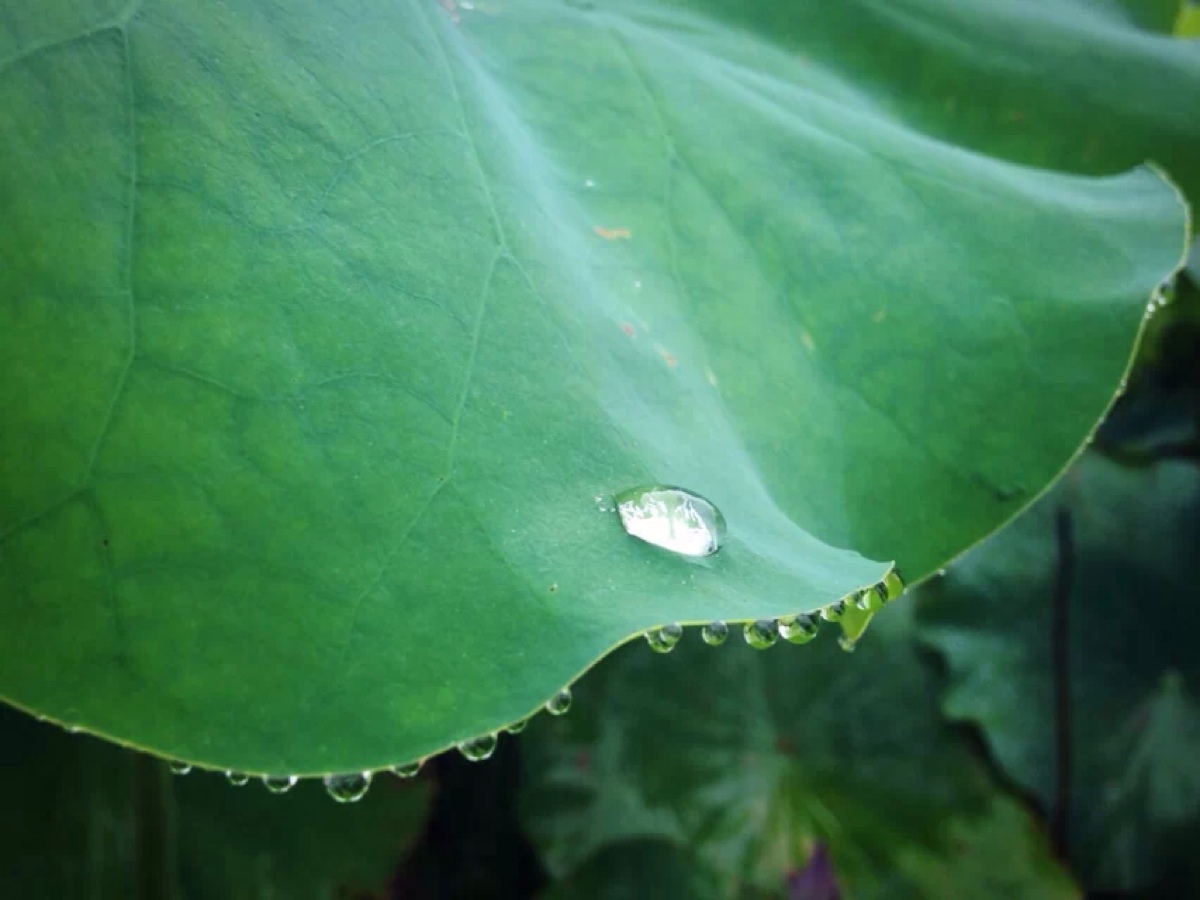 冥想的含义和意义究竟是什么？