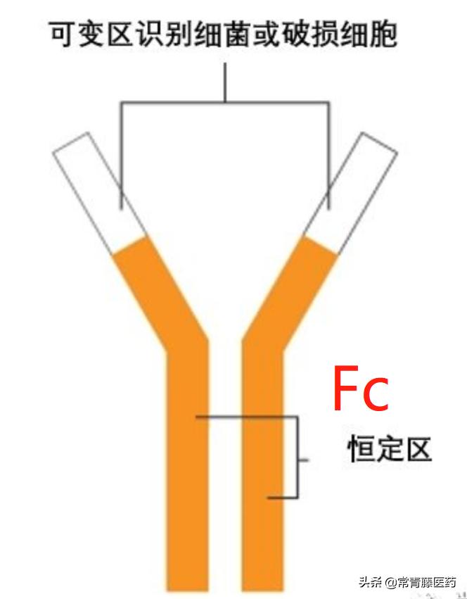 抗新冠药物雾化吸入剂,李文辉教授新冠