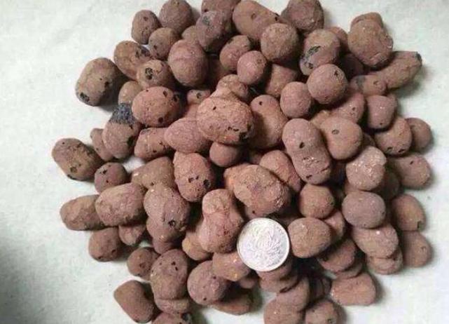 盆栽泥土结块,盆栽土流失怎样加土