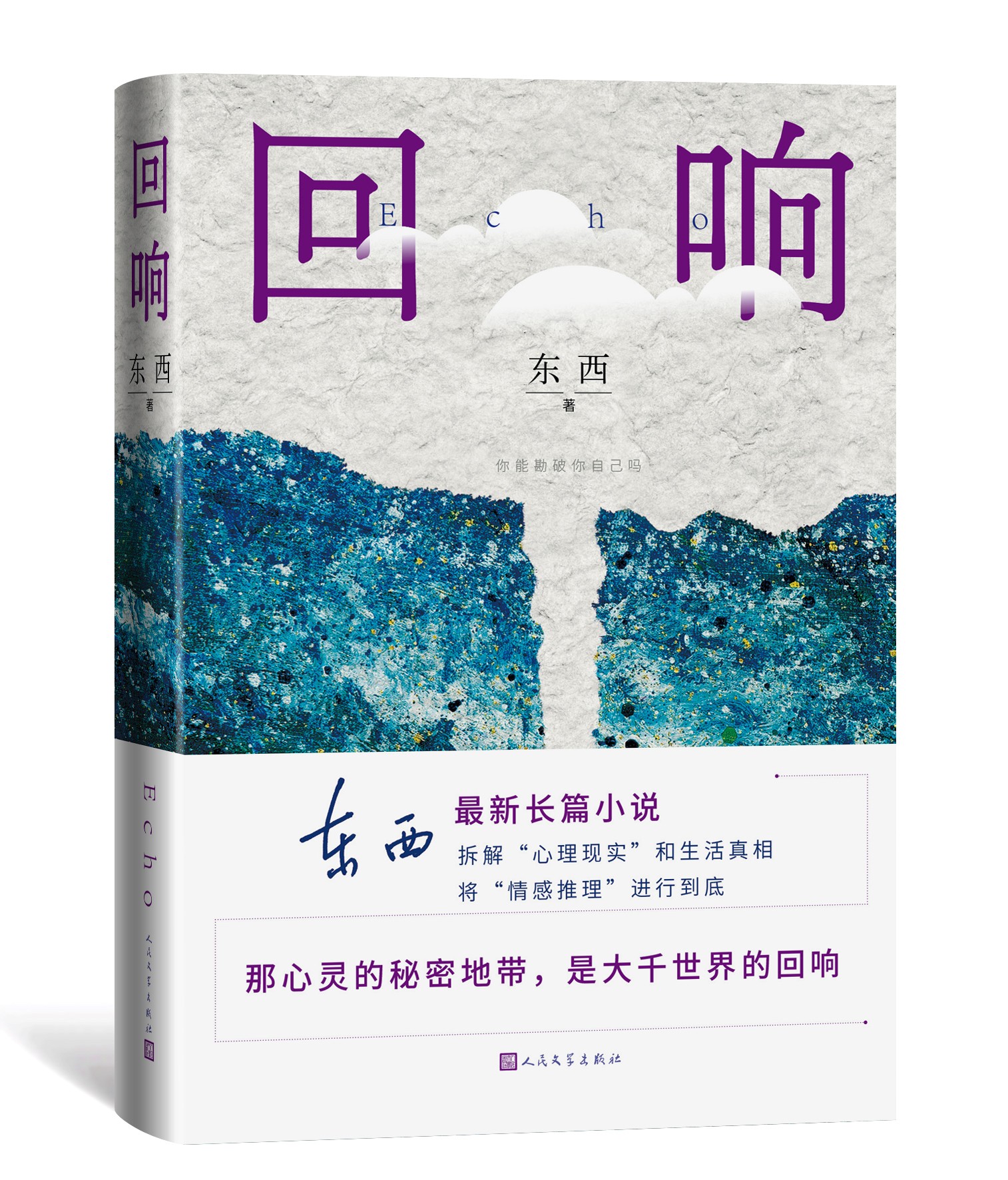 评论家潘凯雄：东西的《回响》是一部与众不同的推理小说