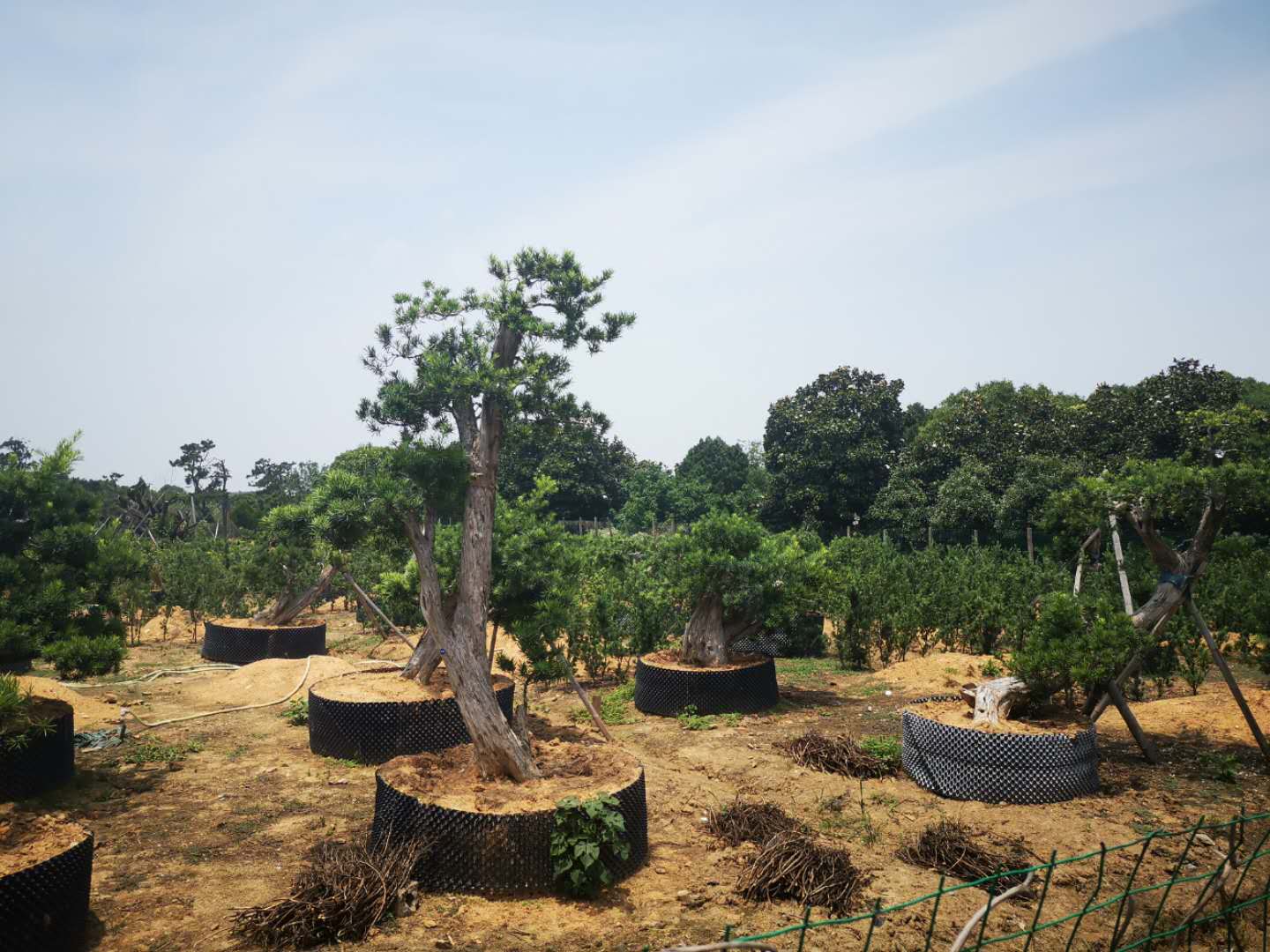 叹为观止自然风景,叹为观止高清图