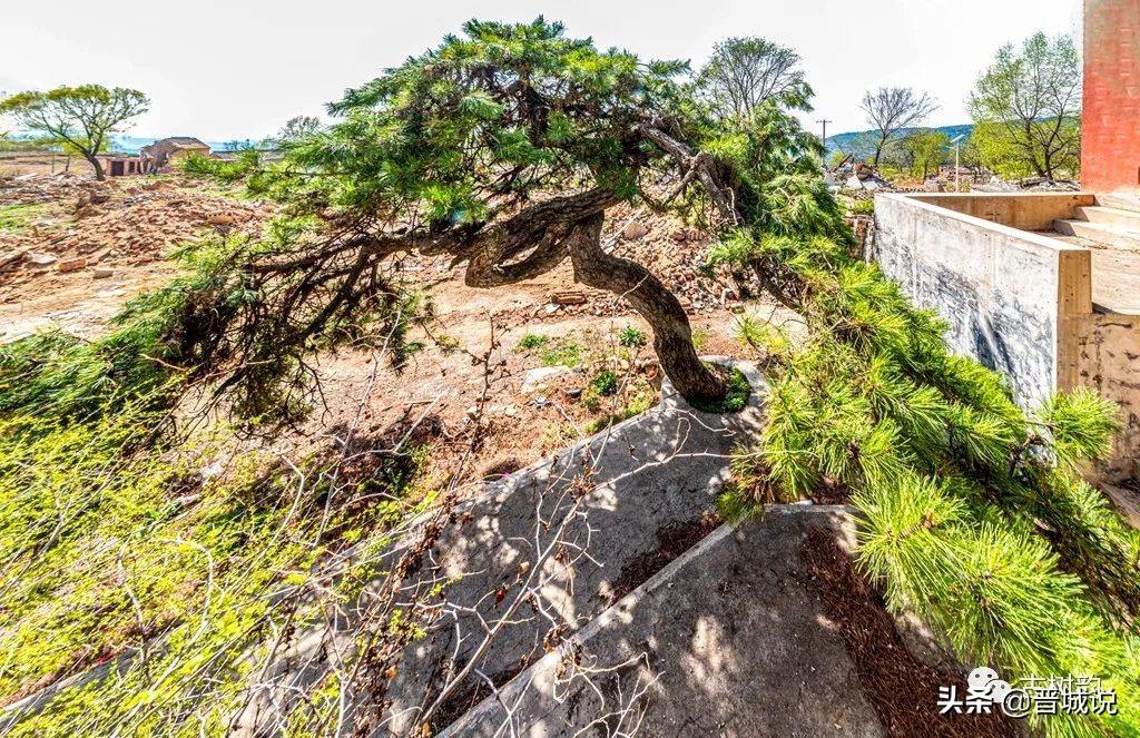 晋城龙凤山,晋城龙凤湖