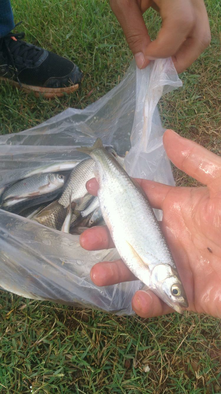 昆明周边露营野钓最佳地方,昆明周边风景优美的野钓地方