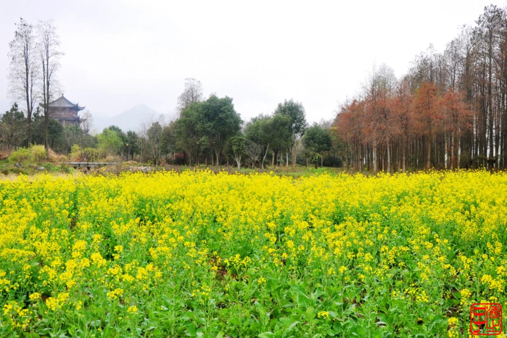 浙江母亲河钱塘江,浙江台州春风