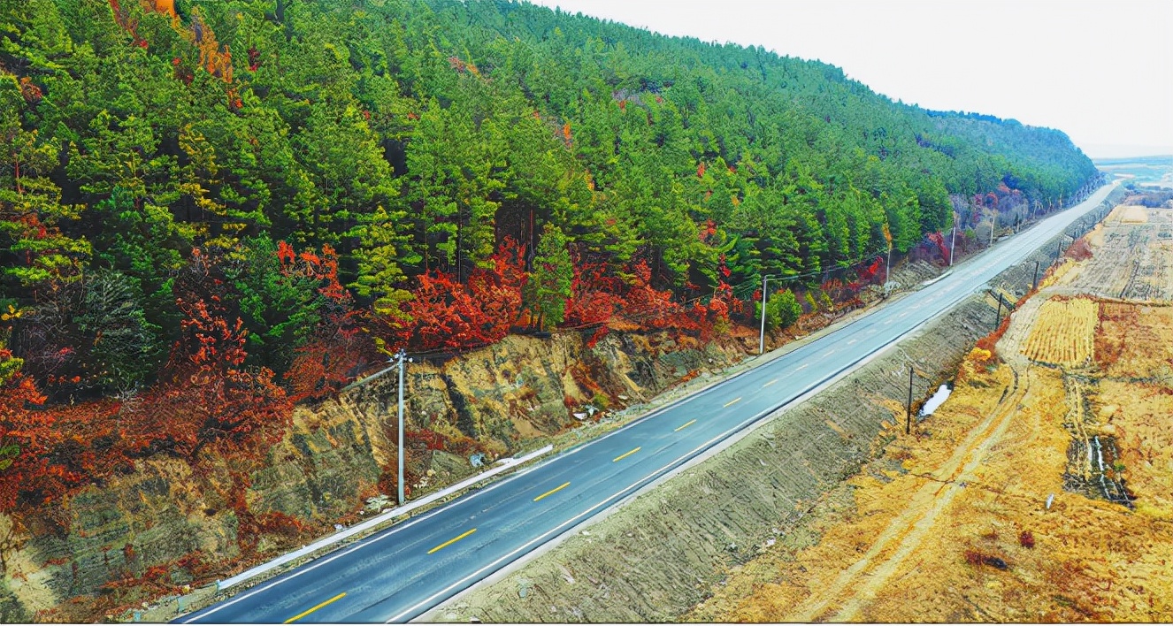 哈尔滨一座震撼人心灵的城市,哈尔滨美丽且温暖的城市