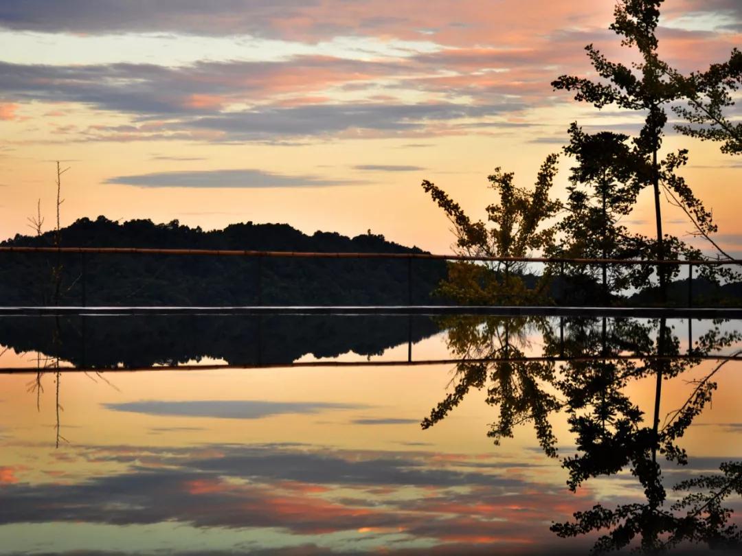 成都民宿推荐青城山,青城山花娟树屋民宿