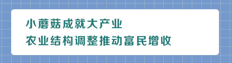 对话“一线指挥官”：从“苏北洼地”到“产业名县”看灌南“72变”华丽转身