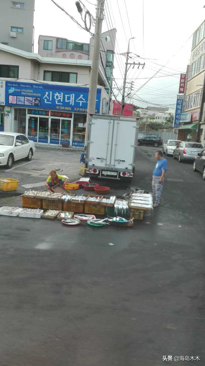 邮轮停靠韩国济州岛,中国去韩国济州岛邮轮