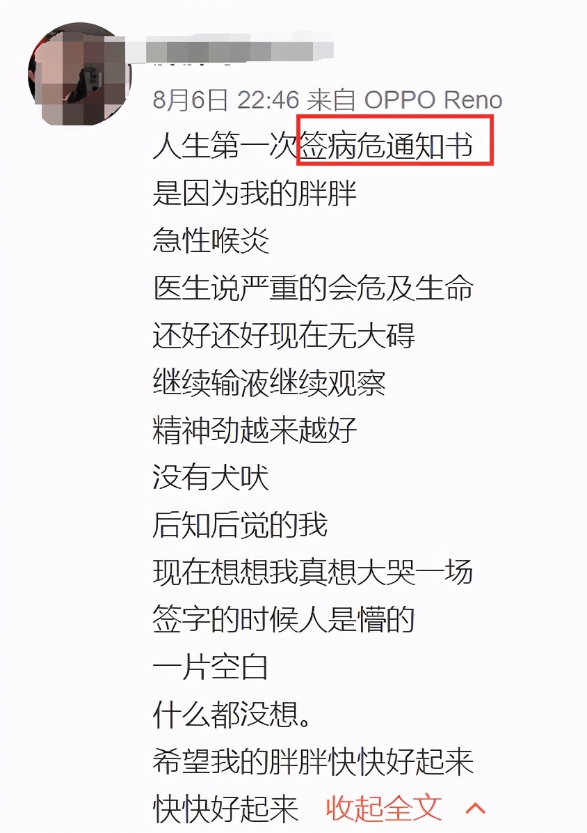 以为孩子只是平常的小感冒,以为孩子只是普通感冒