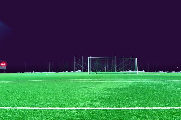 草坪除杂草最厉害是哪种,绿化草坪杂草治理