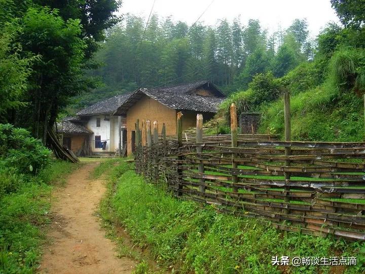 去除夏日蚊子的生活妙招,花园去除蚊子的小妙招