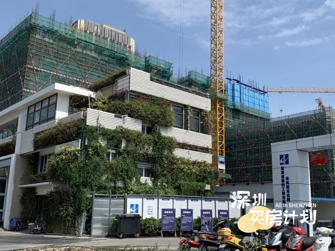 深圳12月打新火爆新盘,深圳千万新盘打新