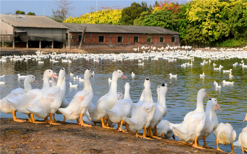 人到中年转行做什么小生意,50岁的人怎么提升自己做生意