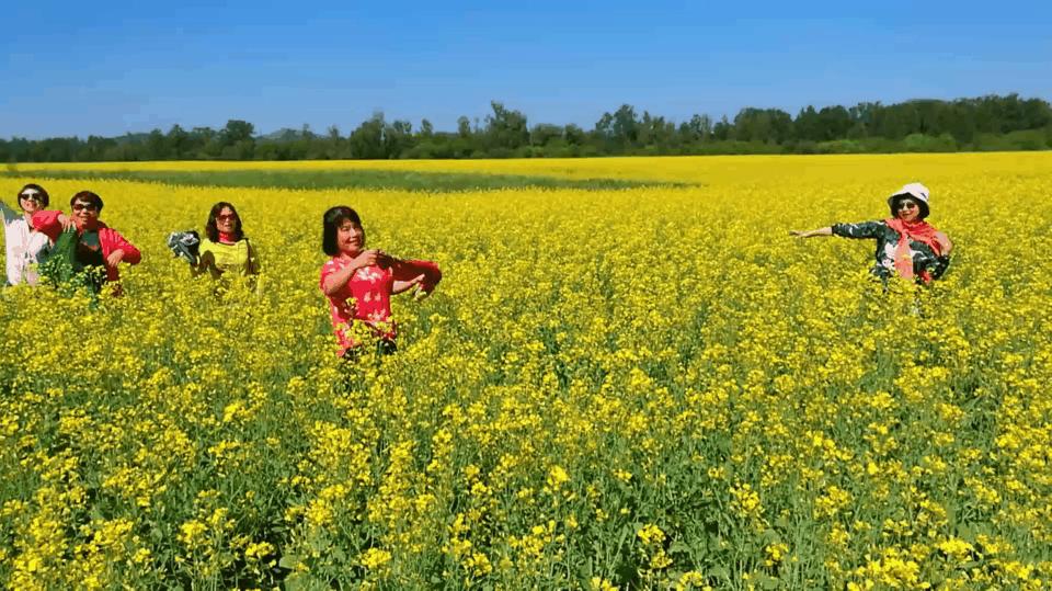 南方人自驾来东北是啥体验,15天一万公里的新疆感受