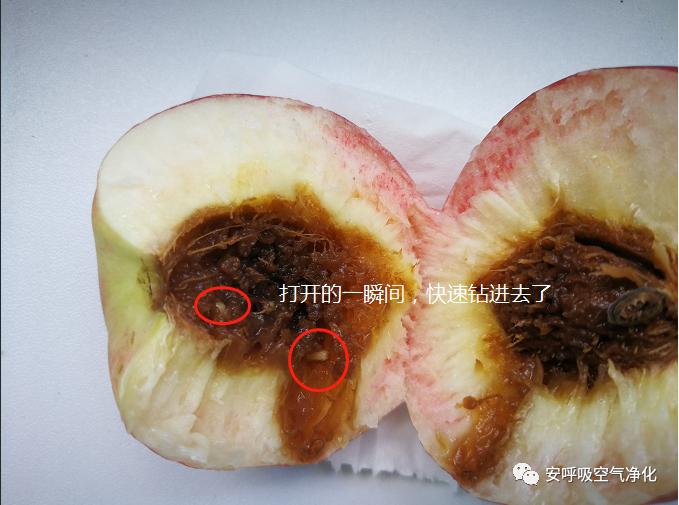 二氧化氯空气净化凝胶有效果吗,二氧化氯空气净化凝胶副作用