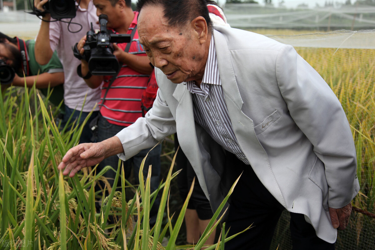 袁隆平体育成绩,袁隆平游泳比赛录像