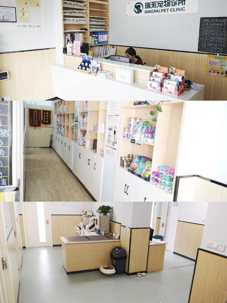 上海路的宠物医院有哪些,上海最好的宠物医院老西门