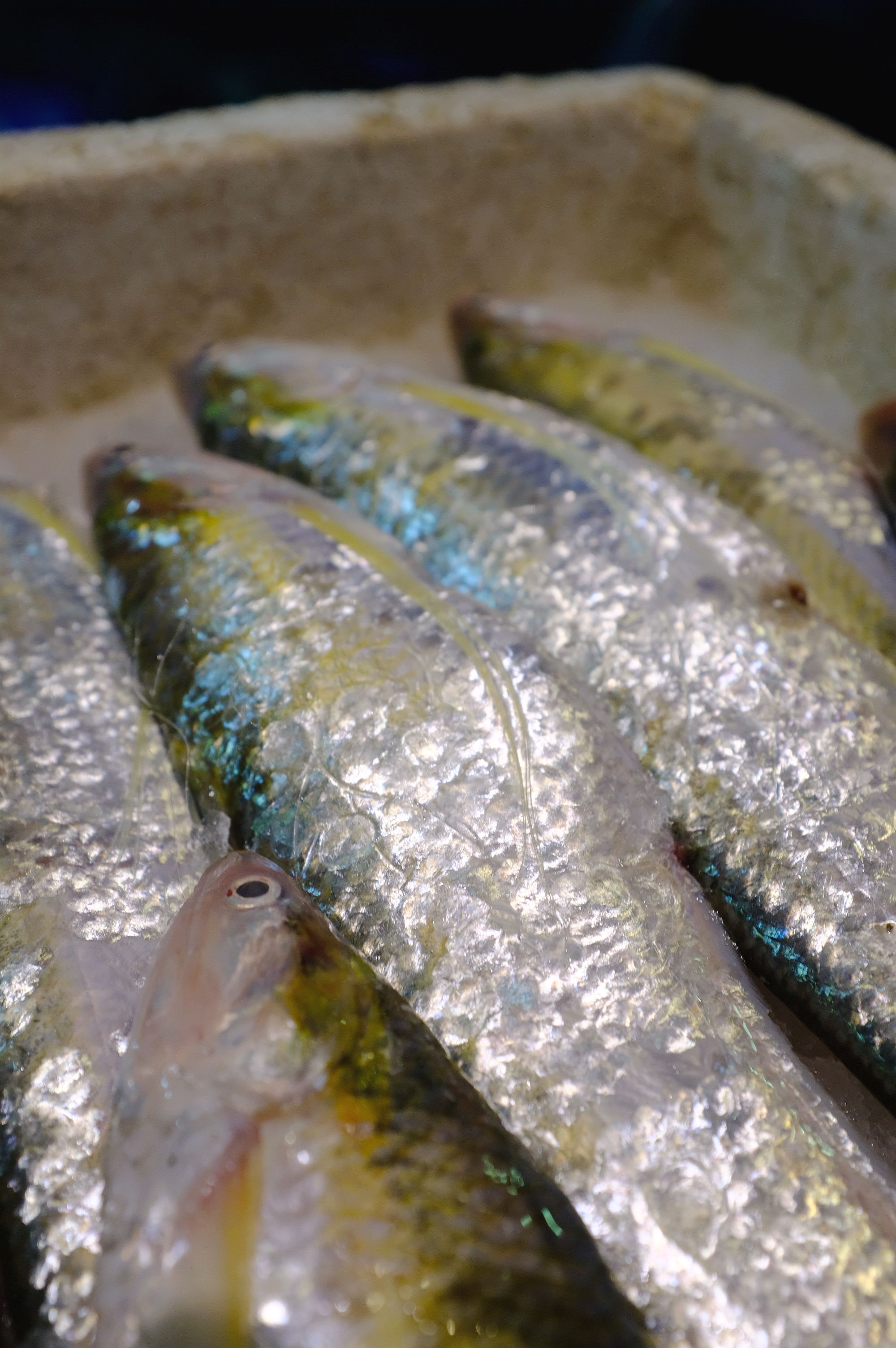 地方清明时节特色美食,清明各地方美食