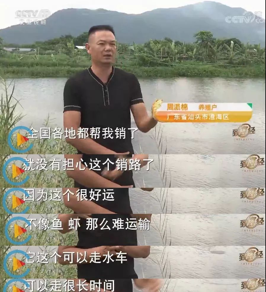 卖光家产！身背巨债！绝望中，他靠一种薄壳的小东西，年赚百万