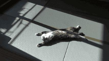 <html>
<head><title>502BadGateway</title></head>
<body>
<center><h1>502BadGateway</h1></center>
<hr><center>nginx</center>
</body>
</html>
<!--apaddingtodisableMSIEandChromefriendlyerrorpage-->
<!--apaddingtodisableMSIEandChromefriendlyerrorpage-->
<!--apaddingtodisableMSIEandChromefriendlyerrorpage-->
<!--apaddingtodisableMSIEandChromefriendlyerrorpage-->
<!--apaddingtodisableMSIEandChromefriendlyerrorpage-->
<!--apaddingtodisableMSIEandChromefriendlyerrorpage-->
