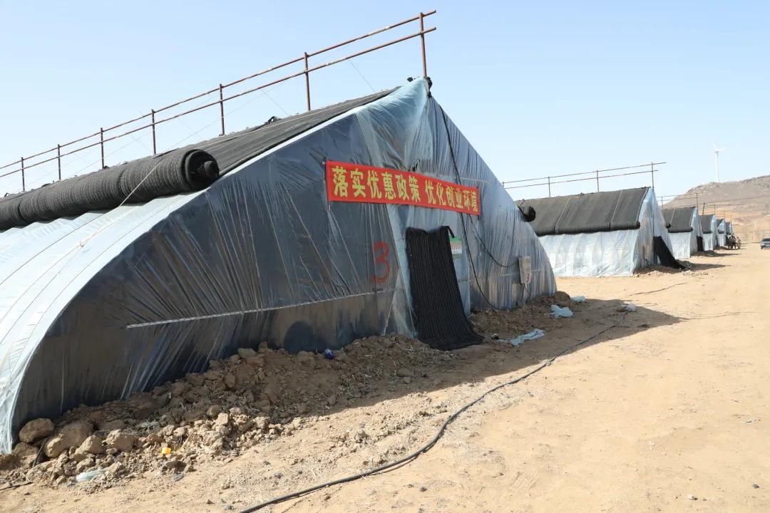 锦州市促进就业创业政策,返乡入乡创业创新政策宣传周