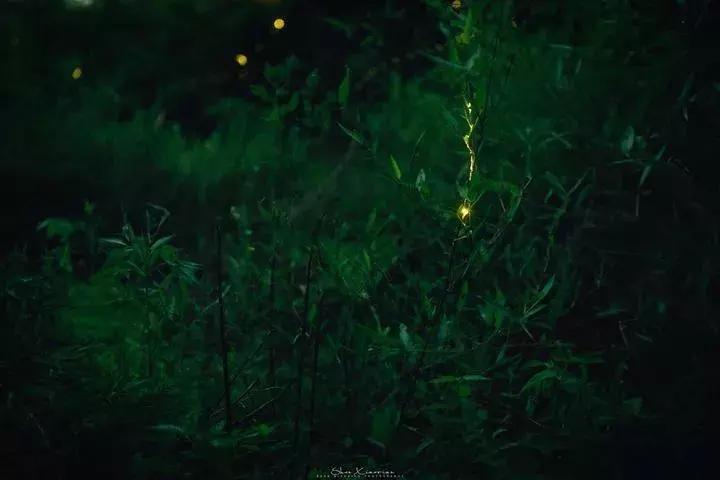 莫干山这8家民宿真想挨个住个遍,莫干山十大民宿推荐