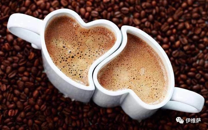 走进咖啡咖啡入门小知识,手冲咖啡器具入门指南